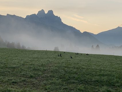 Tannheimer Tal 🧡 Österreichs schönste Wanderregion Tannheimer Tal 🧡 Österreichs schönste Wanderregion