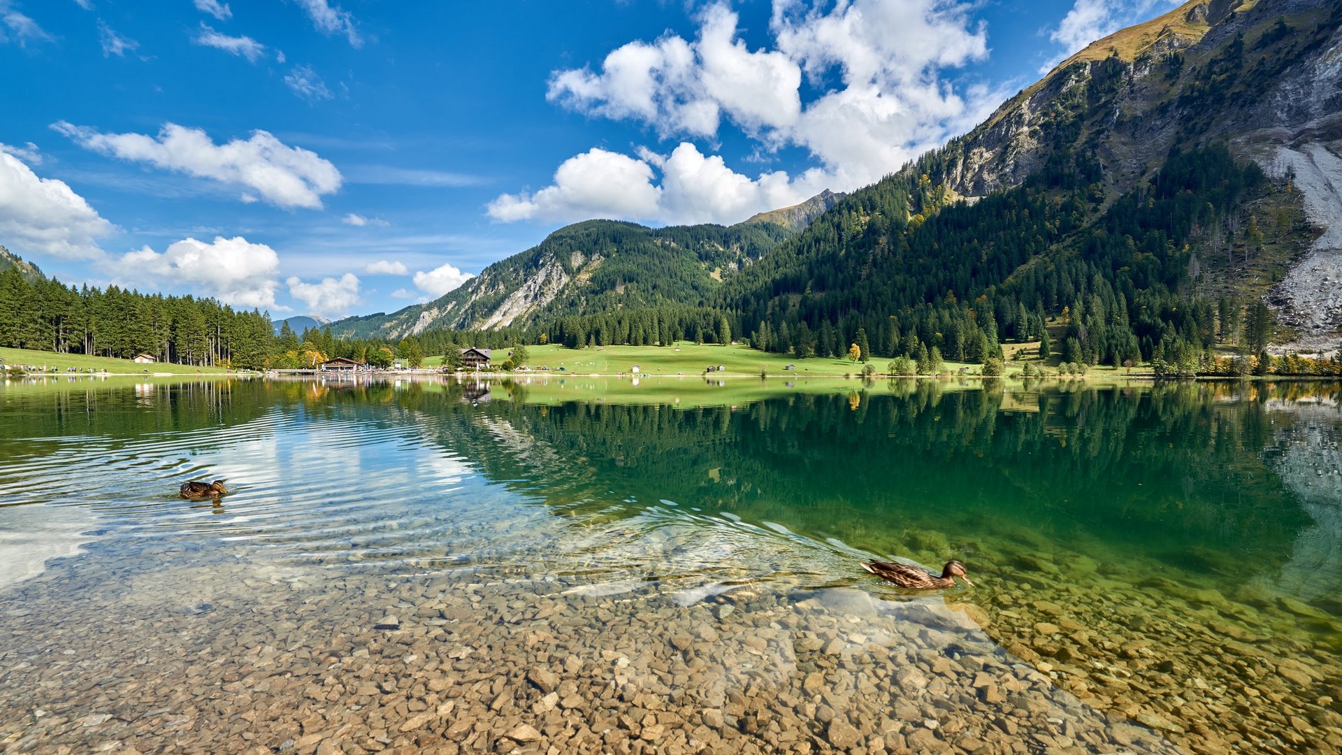 Wandern im Tannheimer Tal Wandern im Tannheimer Tal