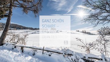 Winter Winter