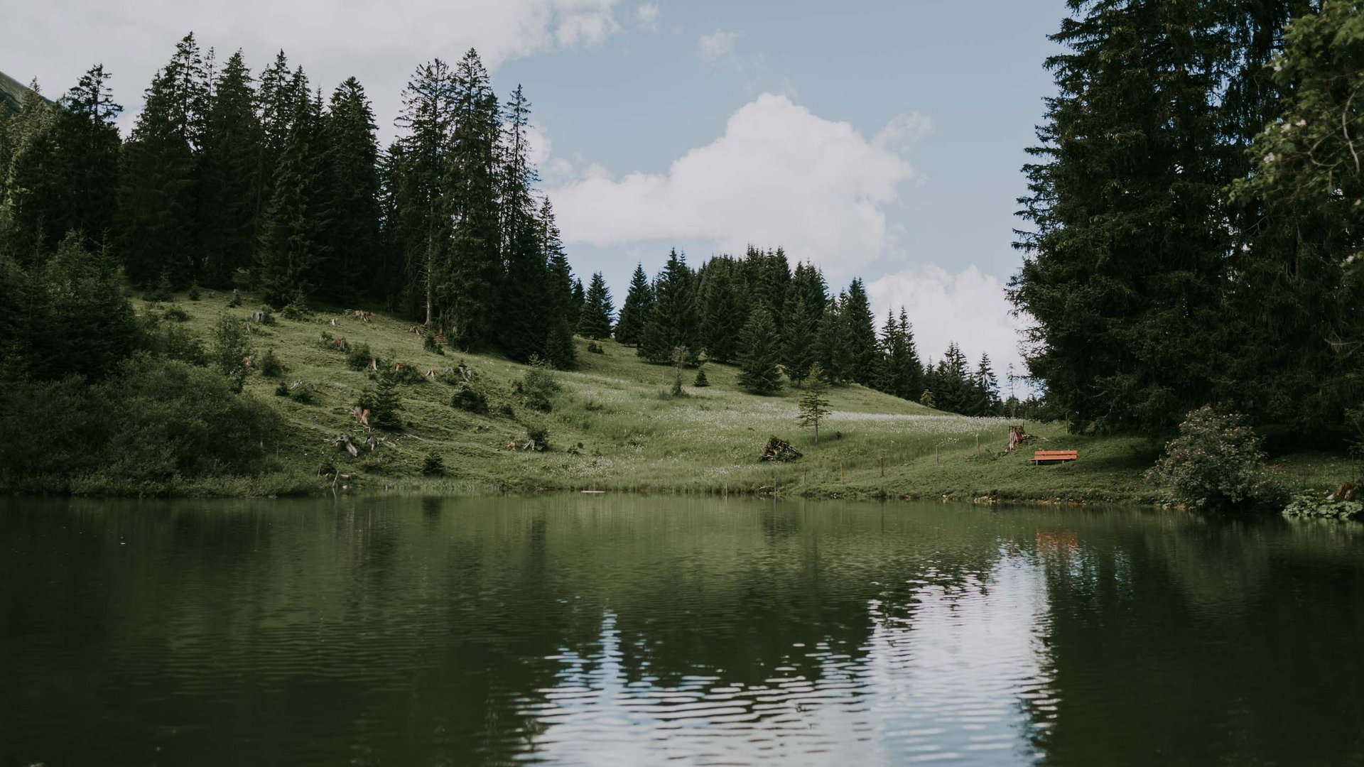 Urlaub im Tannheimer Tal