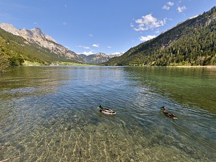 Tannheimer Tal 🧡 Österreichs schönste Wanderregion Tannheimer Tal 🧡 Österreichs schönste Wanderregion
