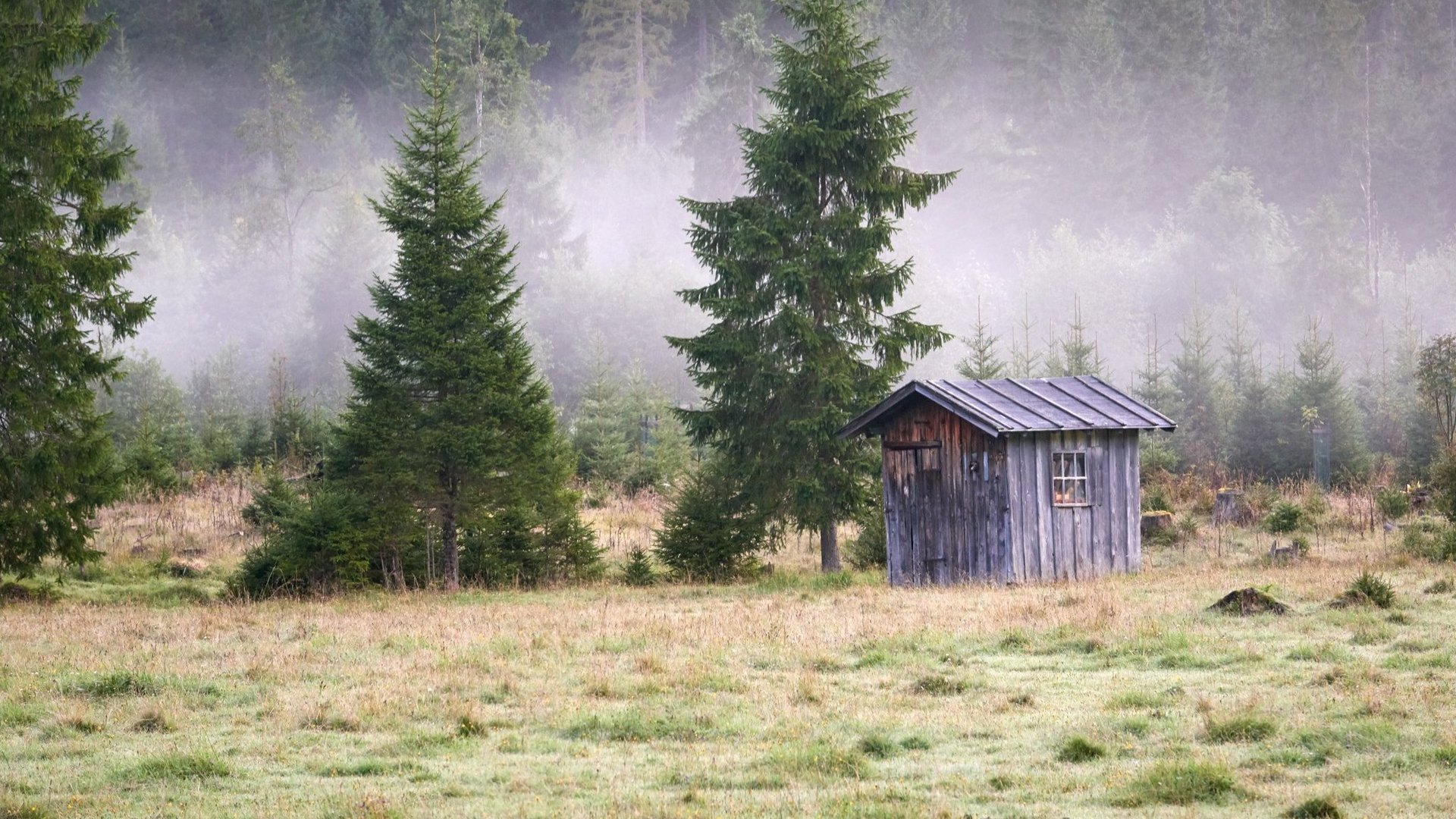 Tannheimer Tal 🧡 Österreichs schönste Wanderregion