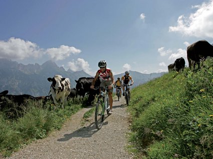 Mountainbike + Tannheimer Tal = Urlaubsglück! Mountainbike + Tannheimer Tal = Urlaubsglück!